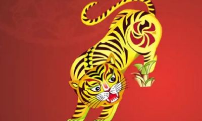 2023年生肖属什么（2023年生肖虎五行属什么）