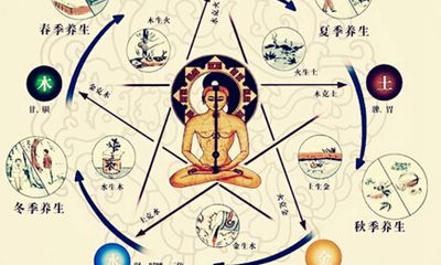 五行各主什么病（五脏六腑和五行的关系）