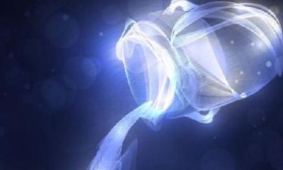 水瓶座会隐藏自己情感吗（水瓶座是什么性格）