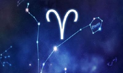 天蝎女跟白羊男合适吗（天蝎女撩白羊男）