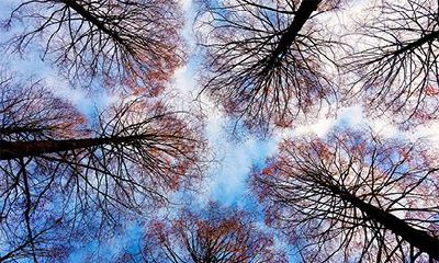 2023年时辰吉凶查询表（十二时辰吉凶对照表）