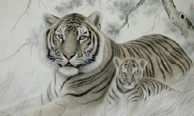 喜欢吵架的生肖是什么什么生肖会在街上争吵（什么生肖喜欢吵吵闹闹）