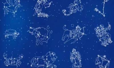 狮子座的水逆什么时候结束（狮子座今年水逆时间）