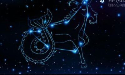 水瓶座智商多少分（双子座和水瓶座谁智商高）