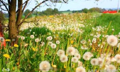 大运走财官流年又见财官（大运先帝旺后临官）