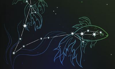 最容易爱上双鱼座三个星座（双鱼座一生最爱的三个星座）