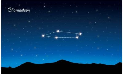 金牛座暗恋一个人（金牛座真正喜欢一个人的表现）