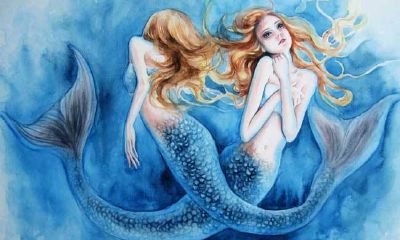 怎样追双鱼座的女孩陶白白（怎么追摩羯座女生）