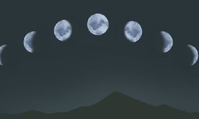 93年属鸡4月13号是阴历几（属鸡农历7月命苦）