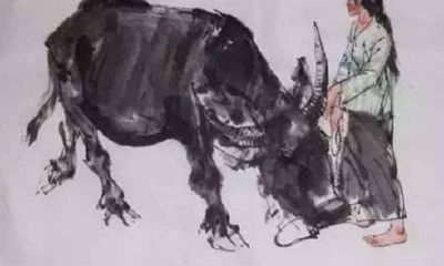 1985年6月属牛是什么命女（85年属牛的海中金命的女人）