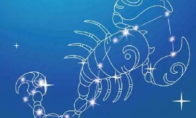 天蝎座后面的星座是哪个星座（天蝎座女生配什么星座）