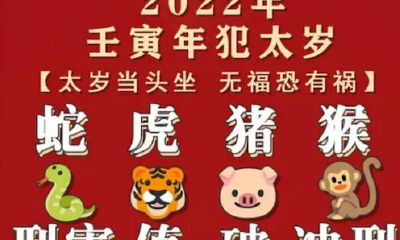 2023年属猪男1995全年运势牢狱之灾（1995属猪一生运势）
