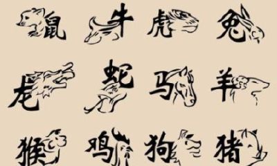 12生肖轮回叫一个什么（六道轮回是什么生肖）