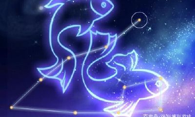 双鱼座为爱而生（双鱼座和水瓶座配吗）