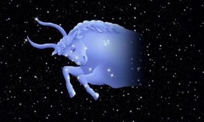 十二星座的职场关系天蝎座（12星座谁最怕双子座）