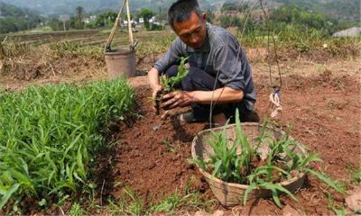 今日适宜事项（今天适合搬家吗）