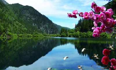 84年属鼠的住几层楼好（84年属鼠的住几楼好）