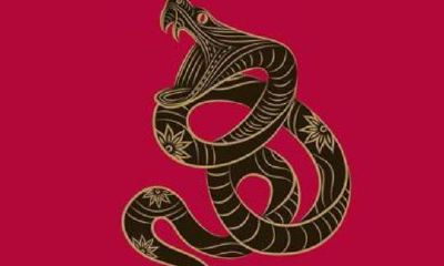 2001年出生的属什么生肖属相（2001年属什么生肖配对）