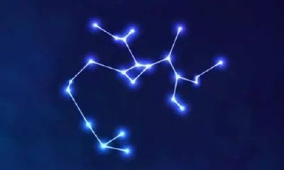 狮子座和天秤座打架什么星座会（天秤座和狮子座适合当朋友吗）