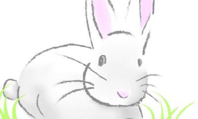 1987年生肖兔2023年（生肖兔2023年运势大全）