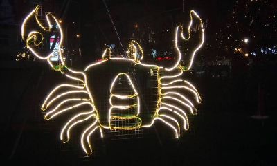 射手座容易上头（脑子强悍射手座）