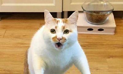 摩羯座女生和天蝎座男生配对（摩羯座女生配什么星座）