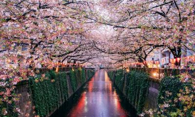 水瓶女喜欢的男生长相（水瓶女喜欢强势的男生）