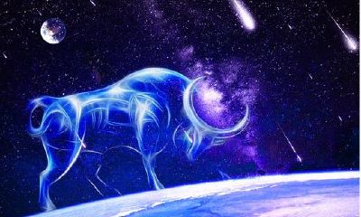 狮子座女人缘好吗（狮子座的人好不好）