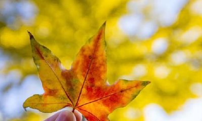 有种缘分叫前世注定（佛说人与人之间的缘分）