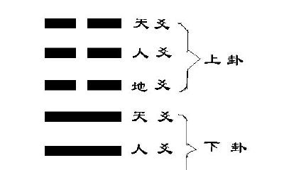 六爻预测常用的地支类象（六爻地支类象）
