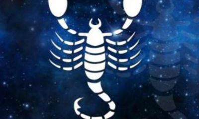 摩羯座和射手座可以做朋友吗（摩羯座跟射手座男配吗）