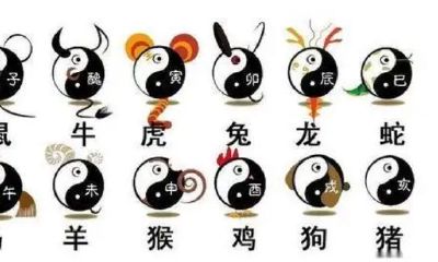 属相的五行属性是什么（属性查询12生肖）