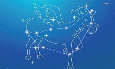 分手后怎么挽回摩羯座男（水瓶男分手后最怕什么）