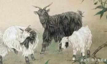 生肖姓名学属鸡最怕（属鸡的人怕什么）