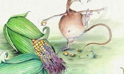 属马人的智商（属马女智商和情商高吗）