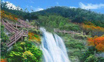 黄大仙公园到肯德基（东莞黄大仙公园门票吗）