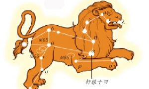 狮子座什么星守护（狮子座固定星座）