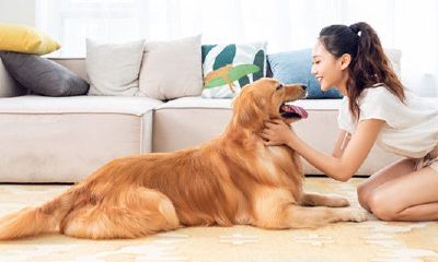 摩羯座长大后有没有钱（天蝎座长大后有没有钱）