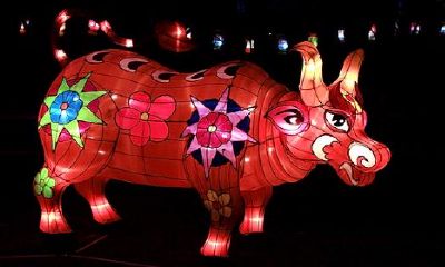 属牛的是哪年生人今年多少岁（属牛的一生运势如何）