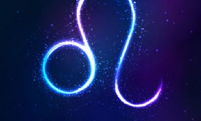 狮子座的的专属标志（狮子座的性格）