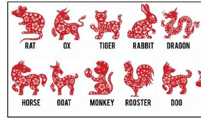 42岁属什么生肖婚配（72年属鼠的婚配表）