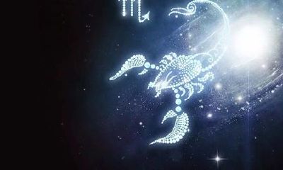 为什么天蝎座的人那么厉害（天蝎座讨厌一个人的表现）