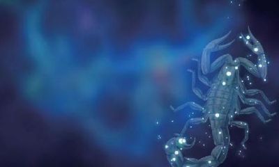 受过伤的天蝎女还会再爱吗（天蝎座彻底心寒的表现）