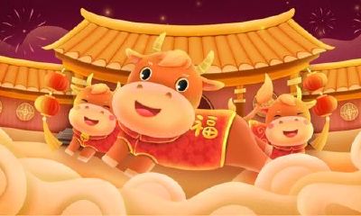 未来十年运势最好的人（未来10年财运大爆发的生肖）