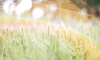 射手座男生会因为什么生气（射手男很容易生气）