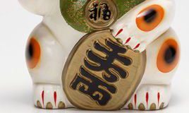 招财养什么动物好（家里养什么动物好吸风水旺财）