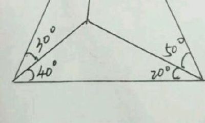 天蝎男约前任吃饭（属兔的男人做什么生意好）