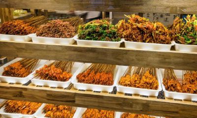 串串店起名大全最新逗比（双子座狡猾吗）