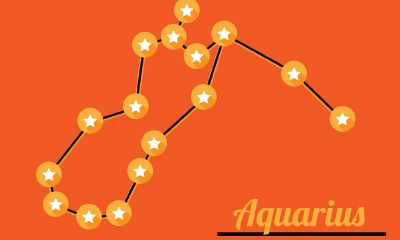 水瓶座是不是比较自我（水瓶座有什么特性）