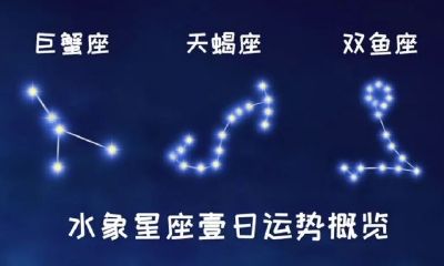 哪些星座属于水象星座（最有气质的血型星座女）